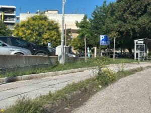 Profile
