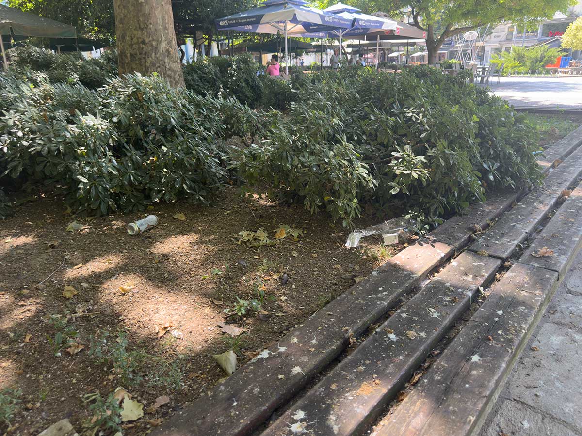 Πλατεία Ρήγα Φεραίου με… υπογραφή περιστεριών