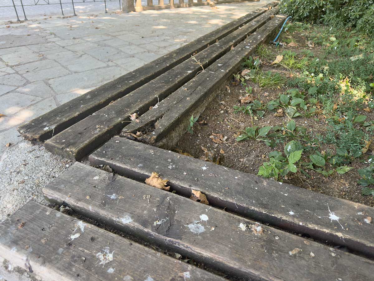 Πλατεία Ρήγα Φεραίου με… υπογραφή περιστεριών