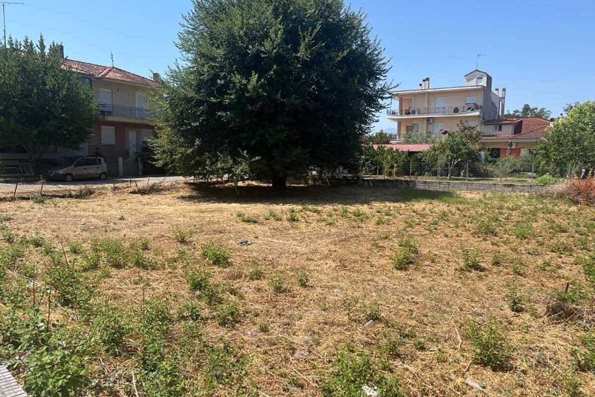 Παρεμβάσεις σε Αγία Κυριακή και οδό Καλαμπάκας
