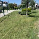 Αγώνας δρόμου για το πράσινο στις γειτονιές των Τρικάλων