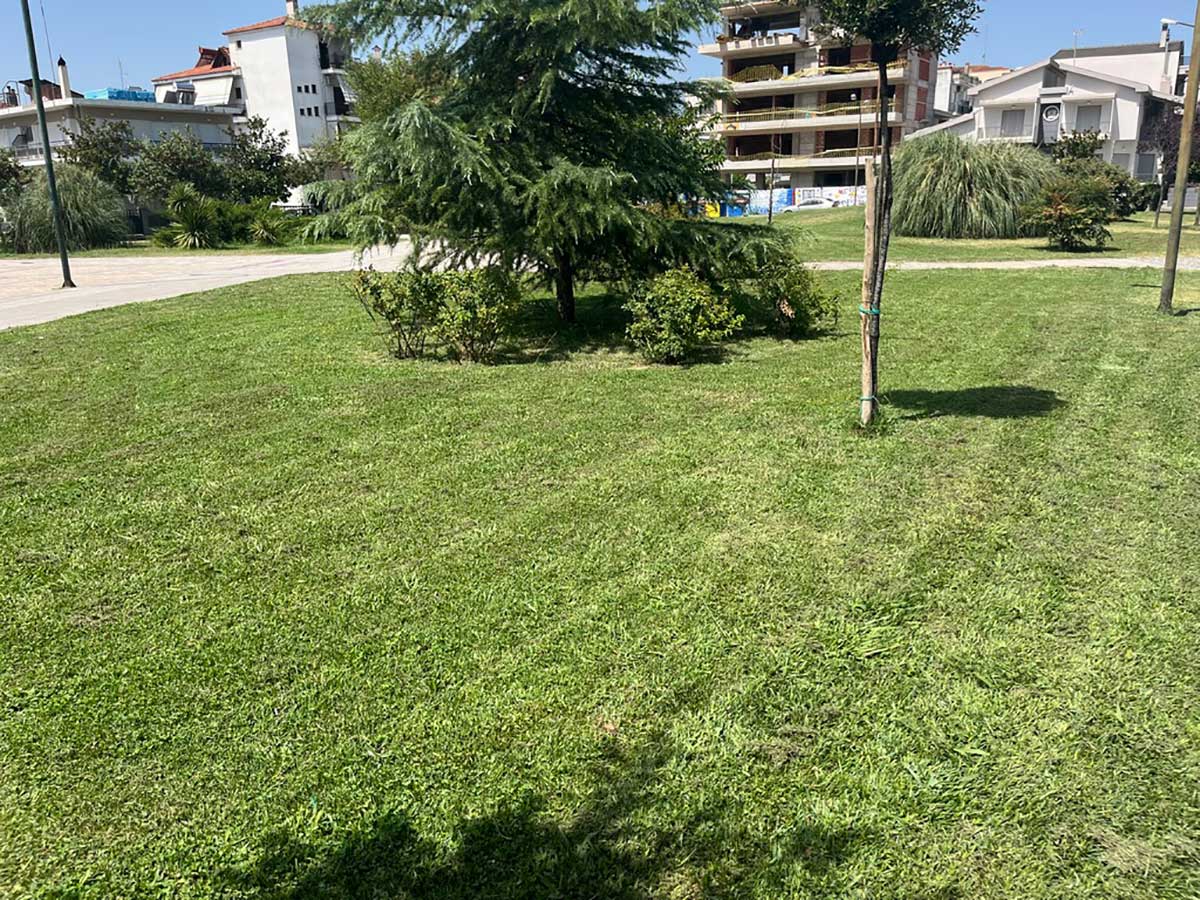 Αγώνας δρόμου για το πράσινο στις γειτονιές των Τρικάλων