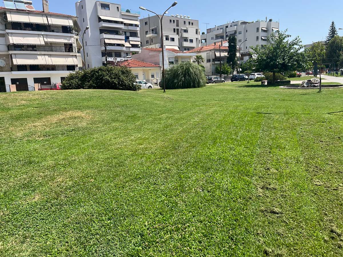 Αγώνας δρόμου για το πράσινο στις γειτονιές των Τρικάλων