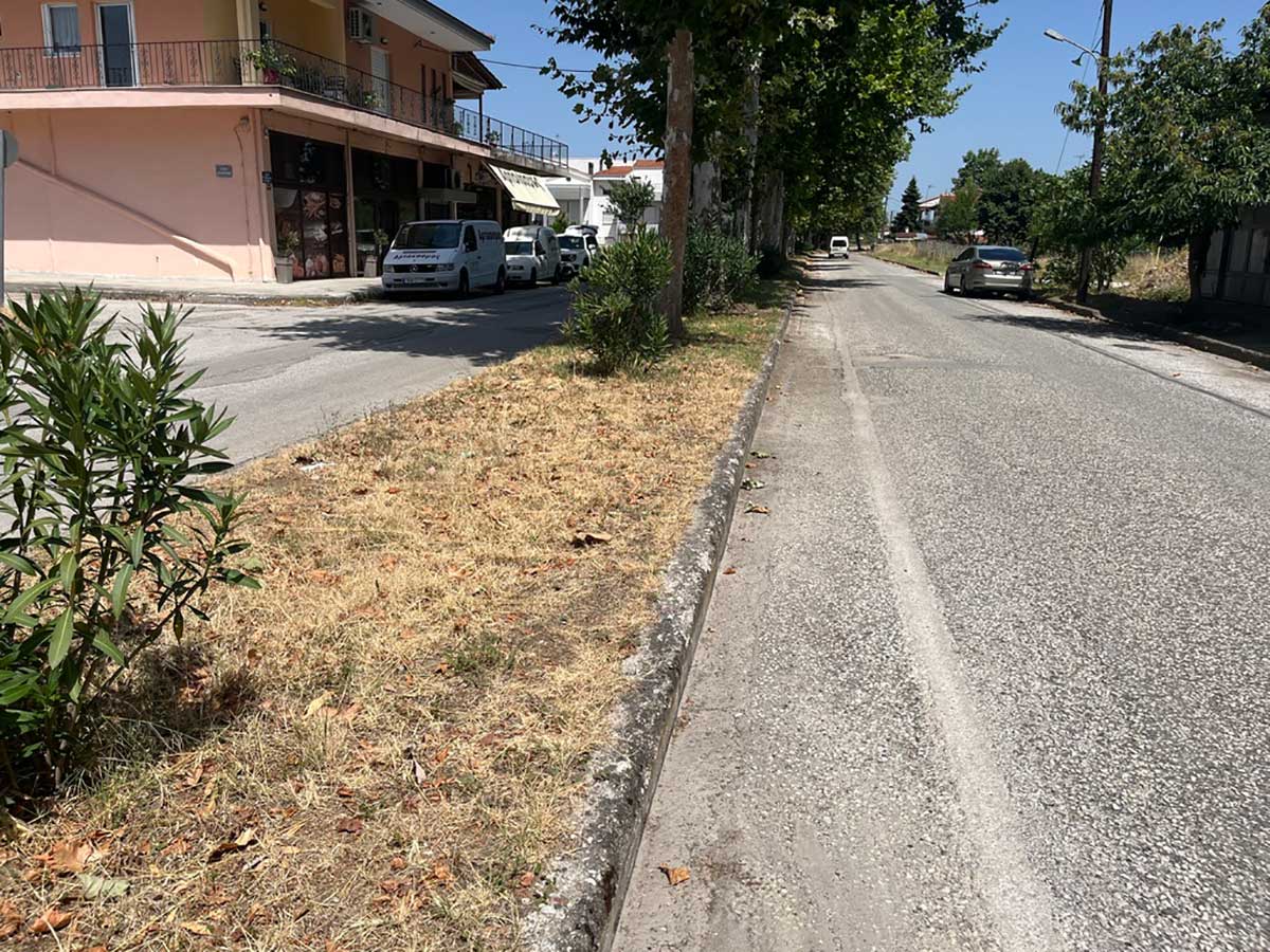 Αγώνας δρόμου για το πράσινο στις γειτονιές των Τρικάλων