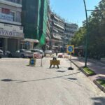 Τρίκαλα: Έκλεισε η Αμαλίας – Καφές με κομπρεσέρ