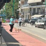 Τρίκαλα: Σε άδειο δρόμο «τράκαραν» πεζός και ποδήλατο