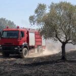 Φωτιά ανάμεσα σε Πρόδρομο και Γενέσι Τρικάλων
