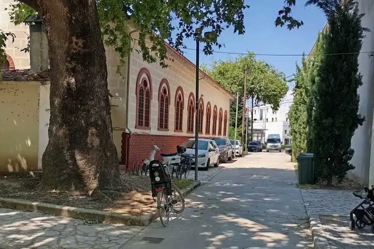 Για καφεδάκι στο Μουσείο Τσιτσάνη, παρκάρισμα… μέσα