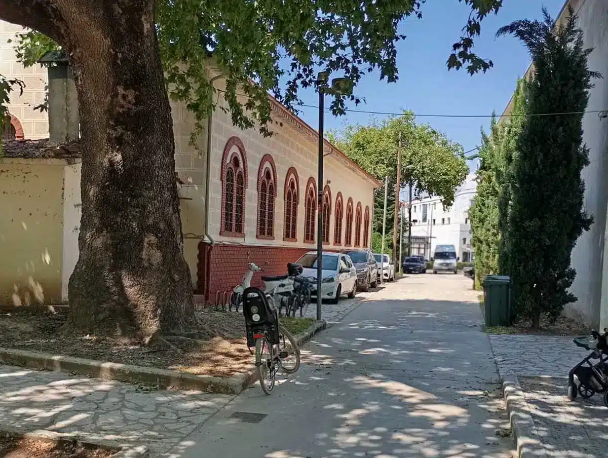 Για καφεδάκι στο Μουσείο Τσιτσάνη, παρκάρισμα… μέσα