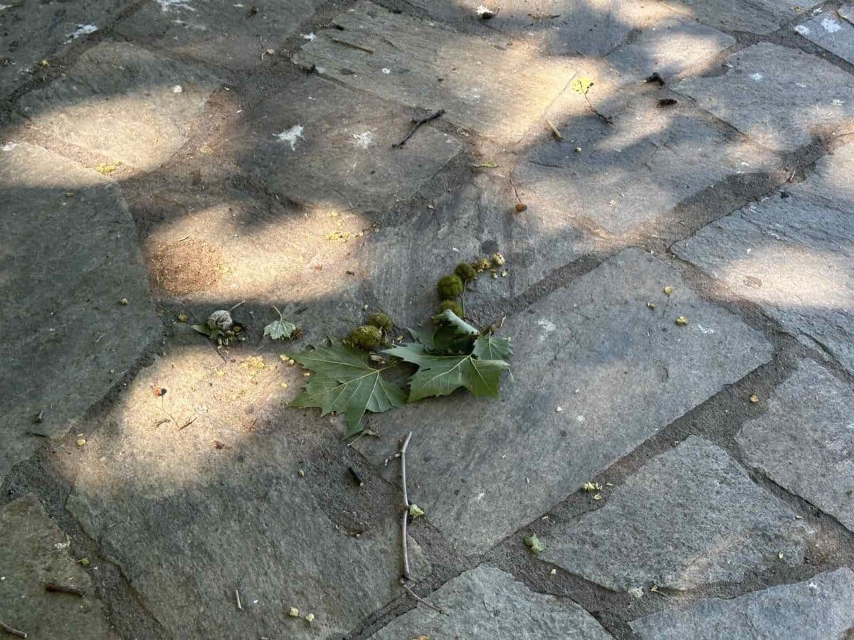 ΑΕΚ στην πλατεία, συντριβάνι στην εγκατάλειψη