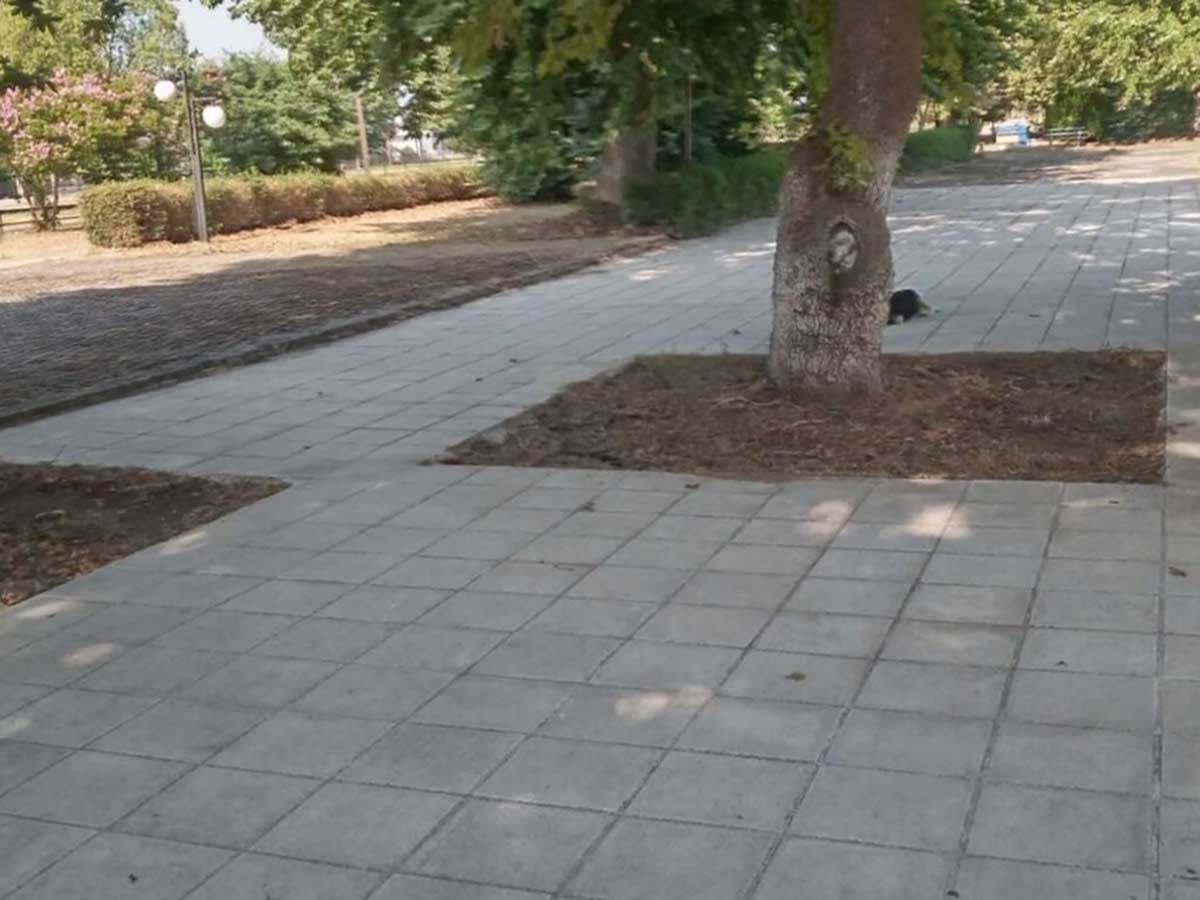 Καθαρισμοί σε επτά χωριά του Δήμου Τρικκαίων