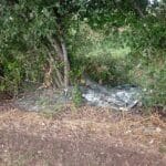 Κίνδυνος από σπασμένα τζάμια στην παραποτάμια διαδρομή Τρικάλων – Καρυών