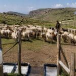 Επιπλέον 12,5 εκατ. ευρώ για μέτρα βιοασφάλειας