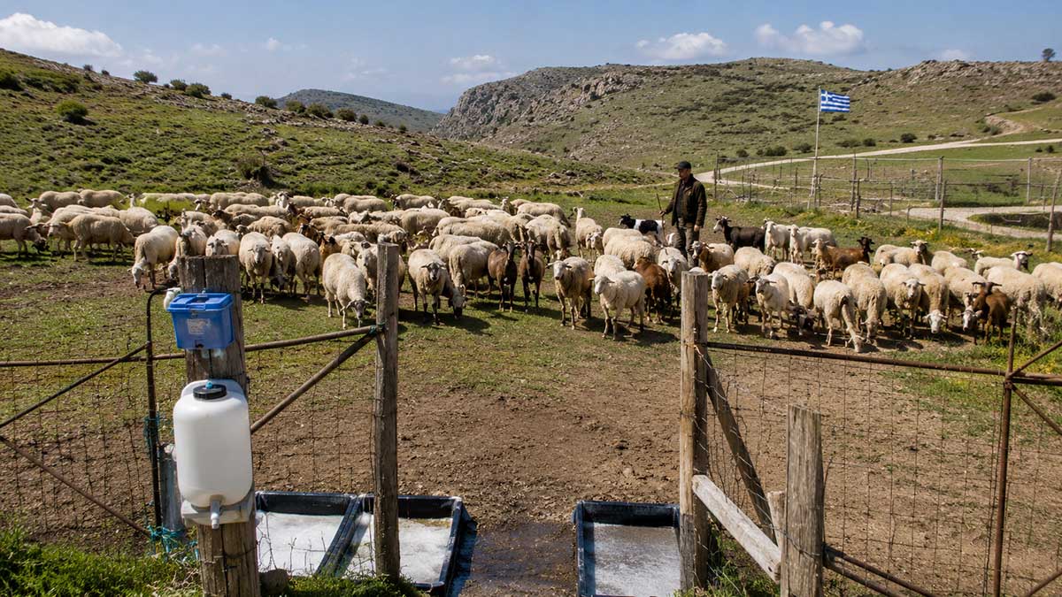 Επιπλέον 12,5 εκατ. ευρώ για μέτρα βιοασφάλειας