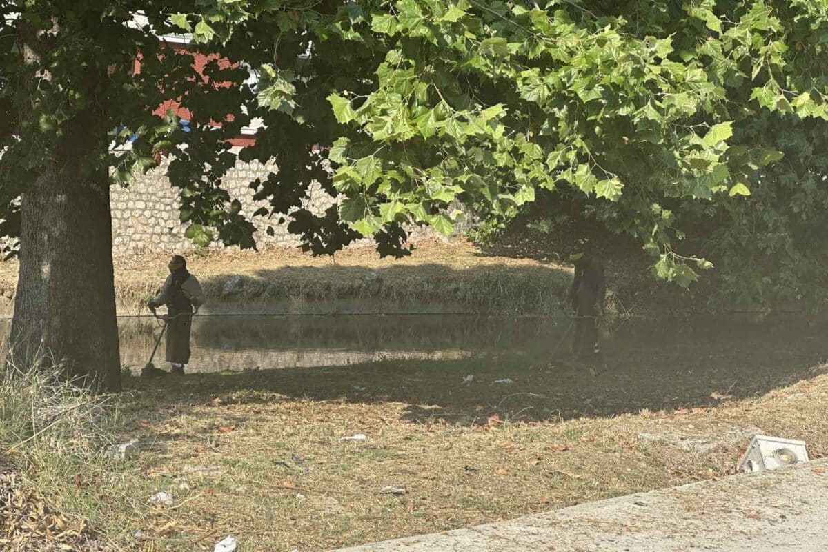 Μάχη με τα χόρτα στον Ληθαίο – Παρεμβάσεις από την Υπηρεσία Πρασίνου
