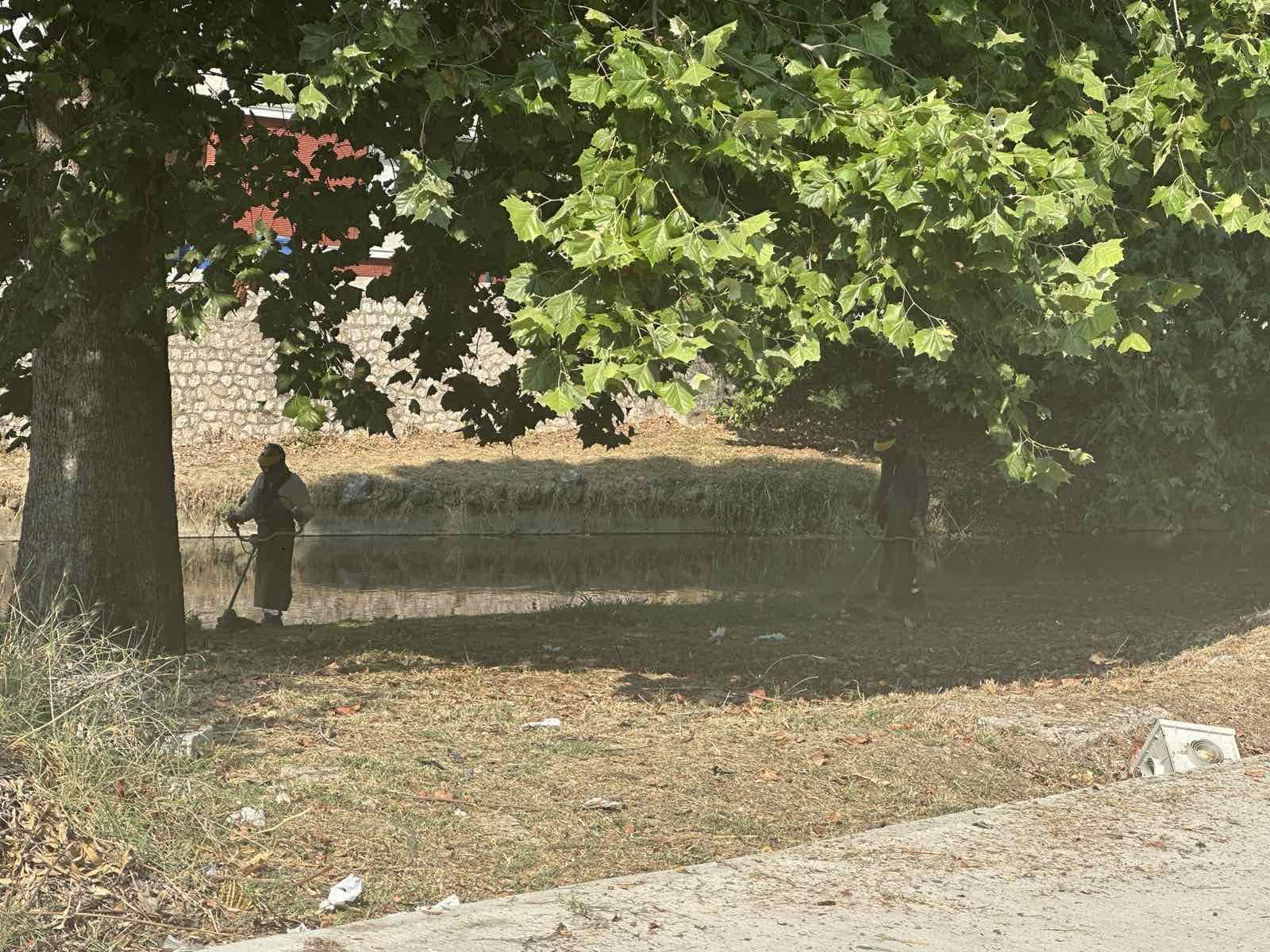 Μάχη με τα χόρτα στον Ληθαίο – Παρεμβάσεις από την Υπηρεσία Πρασίνου
