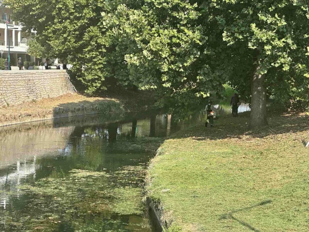 Μάχη με τα χόρτα στον Ληθαίο – Παρεμβάσεις από την Υπηρεσία Πρασίνου
