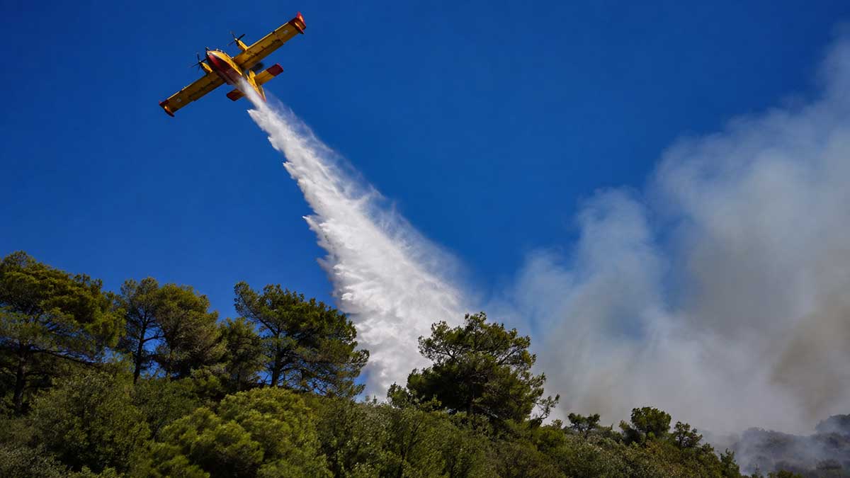 Υψηλός κίνδυνος πυρκαγιάς σε Μαγνησία και Σποράδες