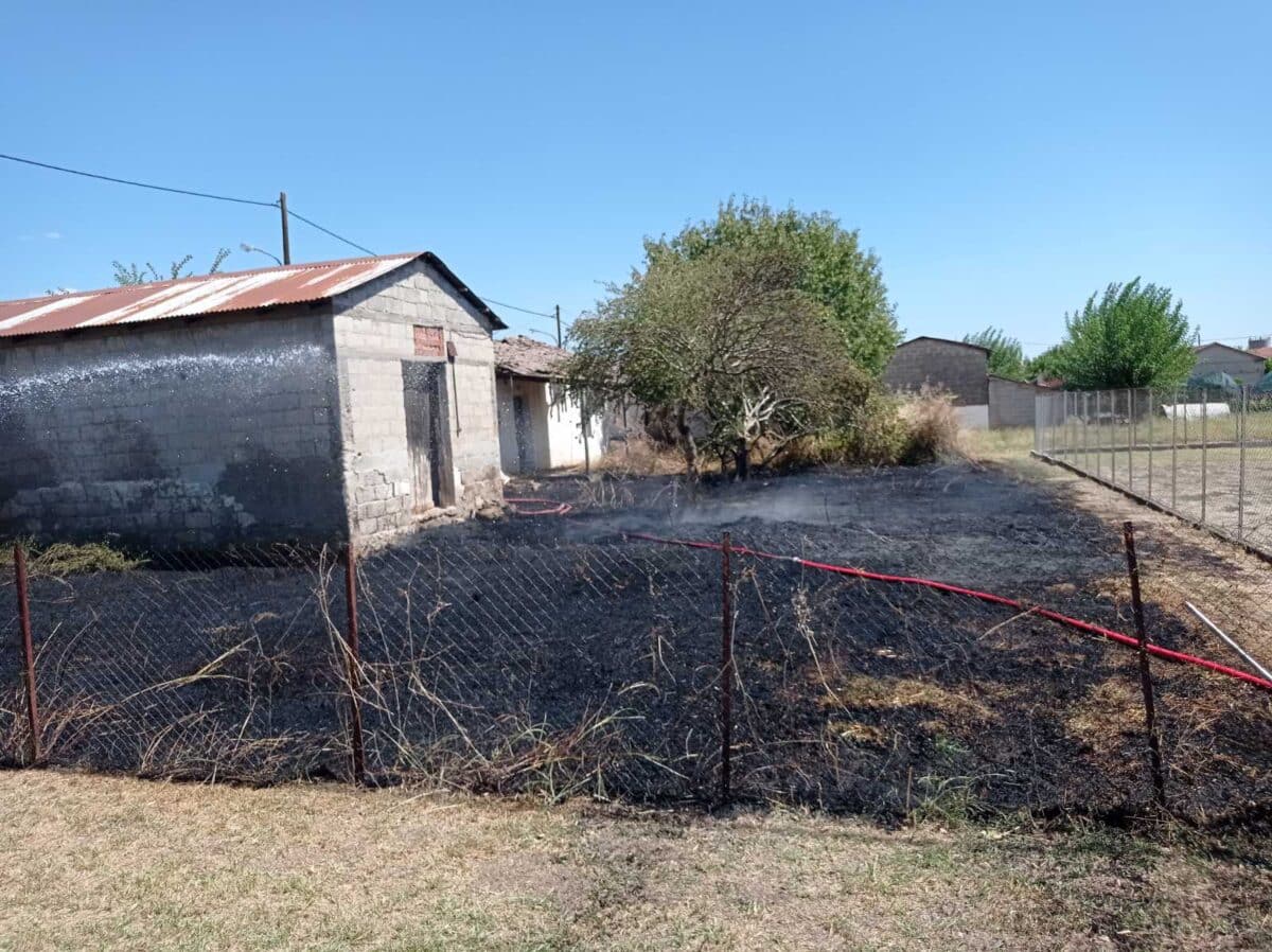 Καμένη έκταση μετά τη φωτιά σε ξερά χόρτα στην είσοδο του Λόγγου Τρικάλων