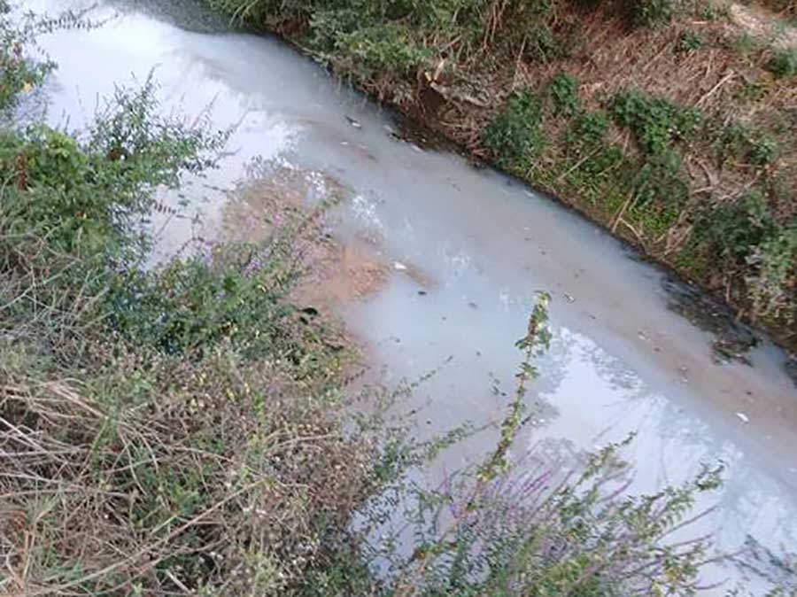 Τρίκαλα: Καταγγελία για τυρόγαλο στον Ληθαίο