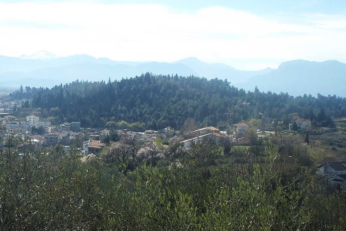 Τρίκαλα: Απαγόρευση κυκλοφορίας σε δάση την Πέμπτη