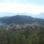 Τρίκαλα: Απαγόρευση κυκλοφορίας σε δάση την Πέμπτη