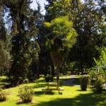 Τρίκαλα: Απαγόρευση εισόδου στα δάση και την Κυριακή 23 Αυγούστου
