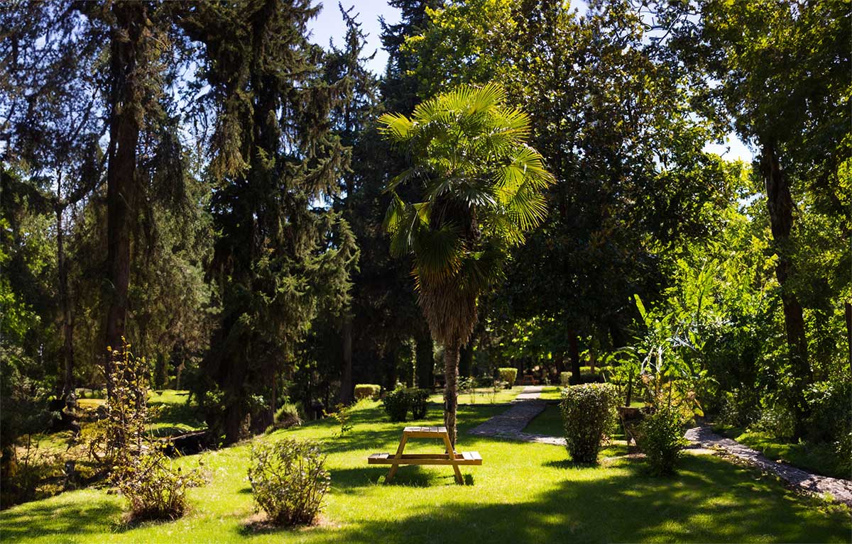 Τρίκαλα: Απαγόρευση εισόδου στα δάση και την Κυριακή 23 Αυγούστου