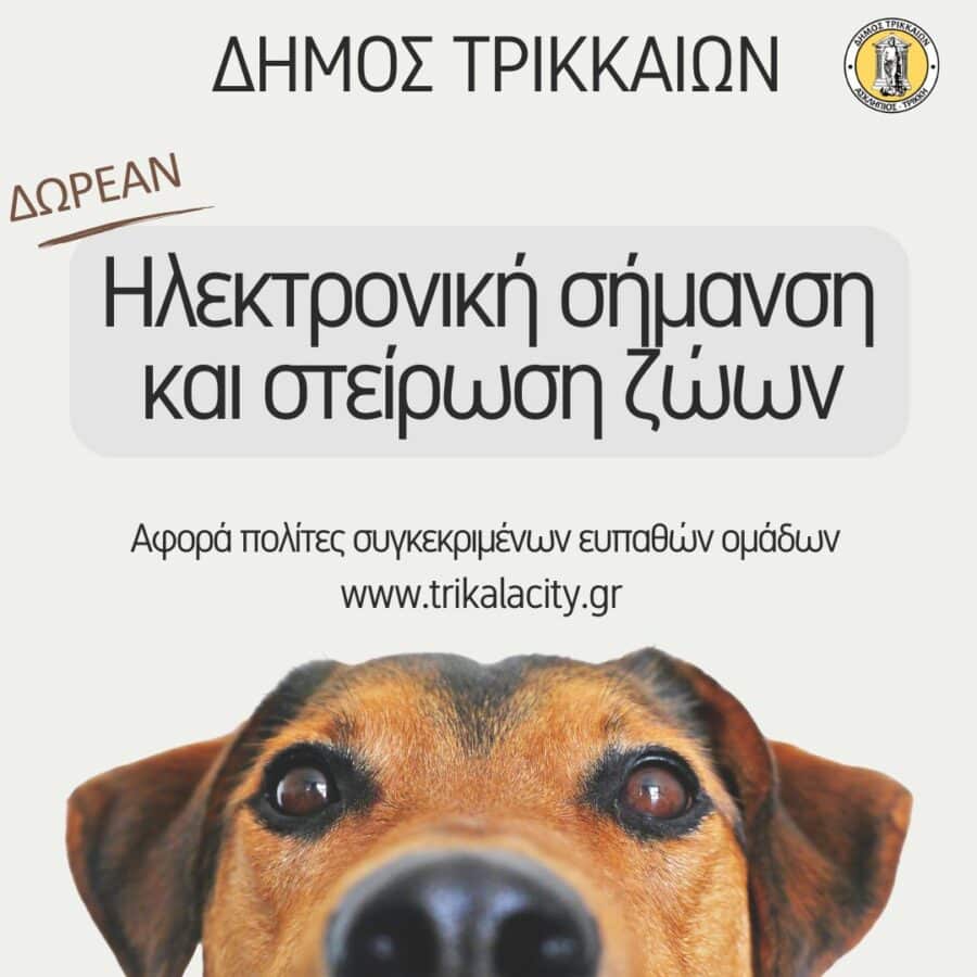 Τρίκαλα: Δωρεάν τσιπάρισμα και στείρωση ζώων από 1/9