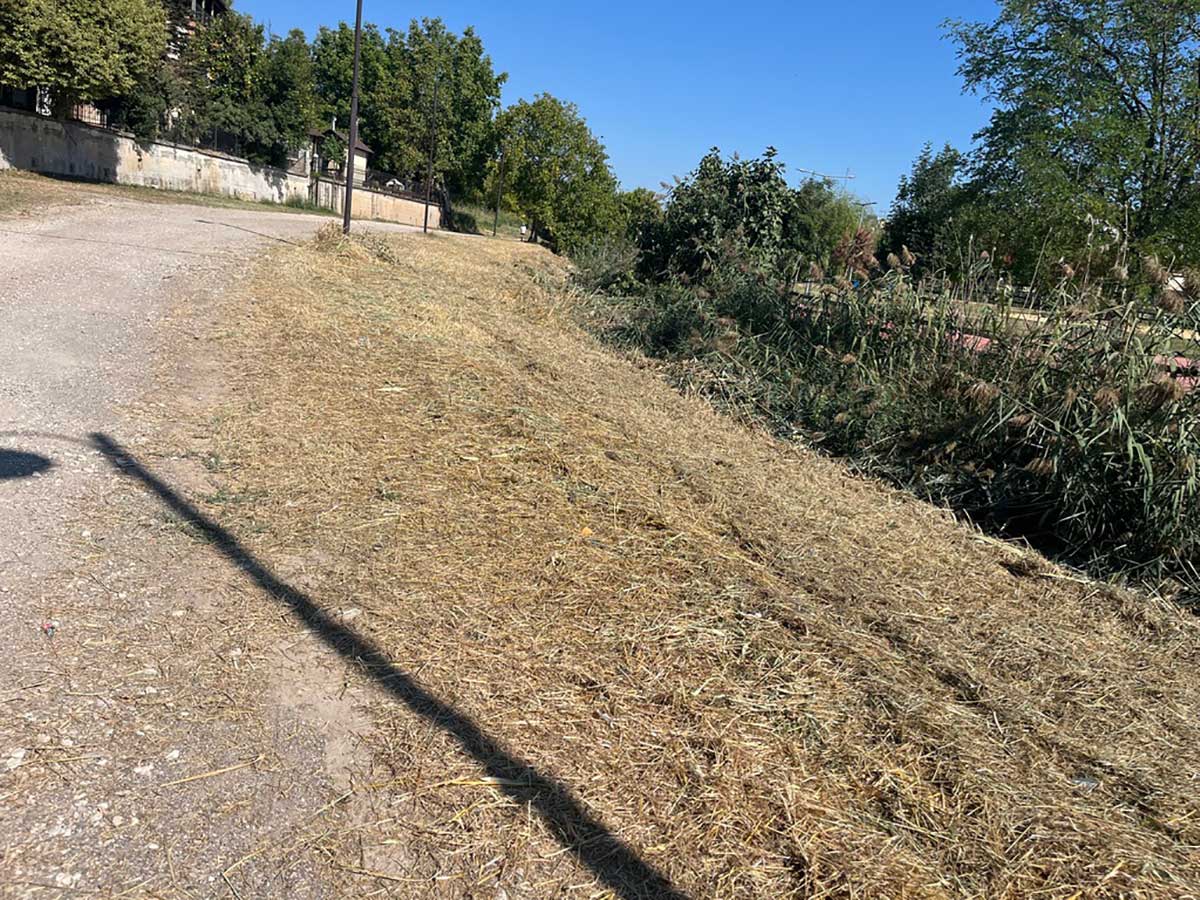 Καθαρισμός στον Αγιαμονιώτη από τον Δήμο Τρικκαίων
