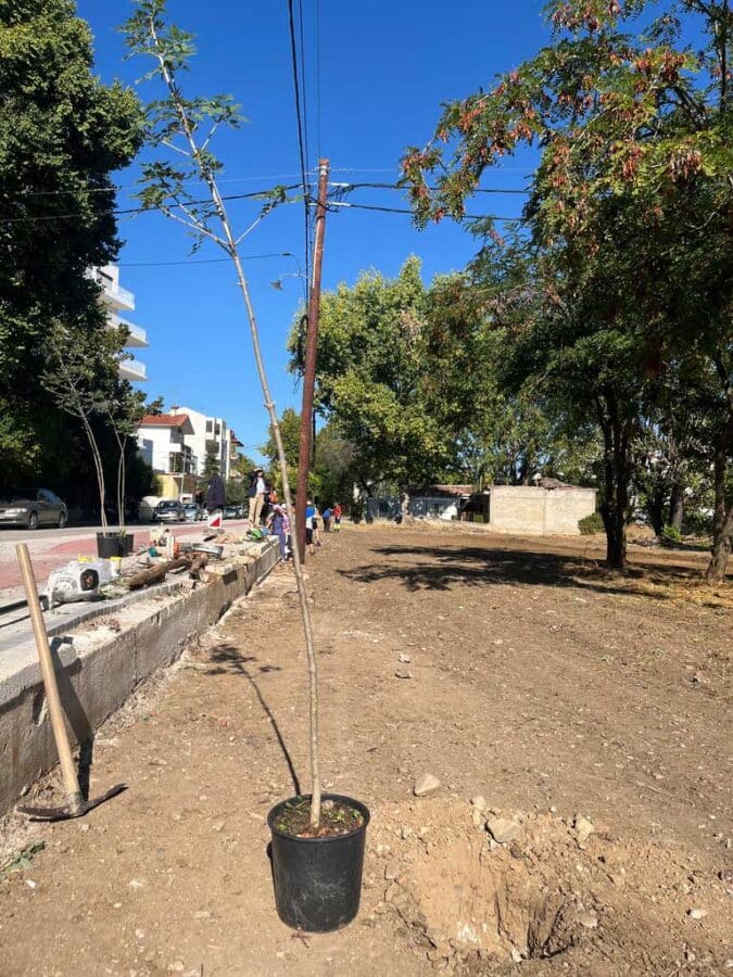 Μαθητές φύτεψαν δέντρα δίπλα στον Ληθαίο
