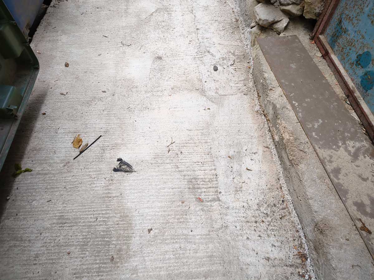 Παρεμβάσεις σε πεζοδρόμια και κράσπεδα στα Τρίκαλα