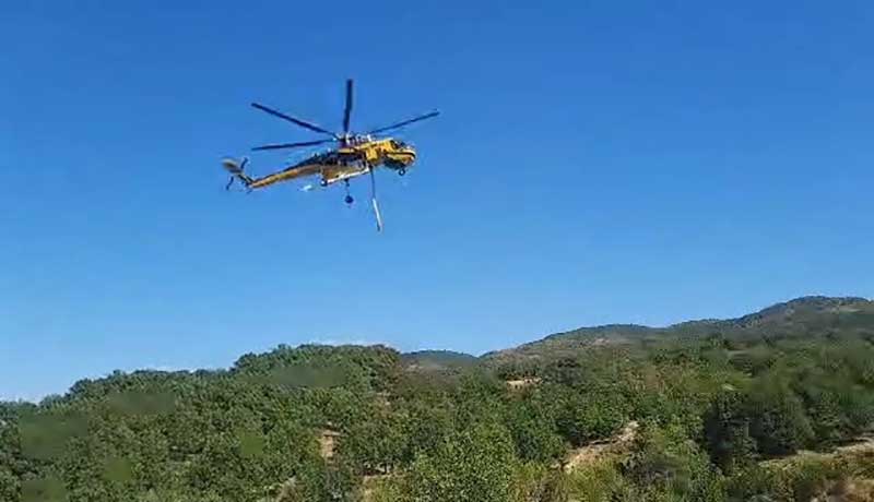 Φωτιά στο Αγιόφυλλο Τρικάλων: 54 πυροσβέστες και ελικόπτερο