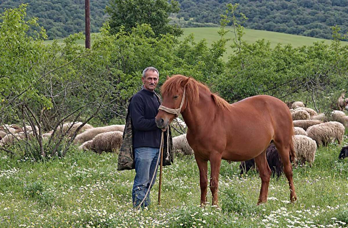 Πηνειάδα: Την Τρίτη η κηδεία του Απόστολου Καψιώχα