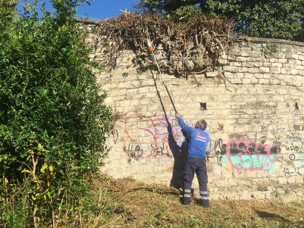 Τρίκαλα: Καθαρισμοί και κλαδεύσεις σε γειτονιές της πόλης