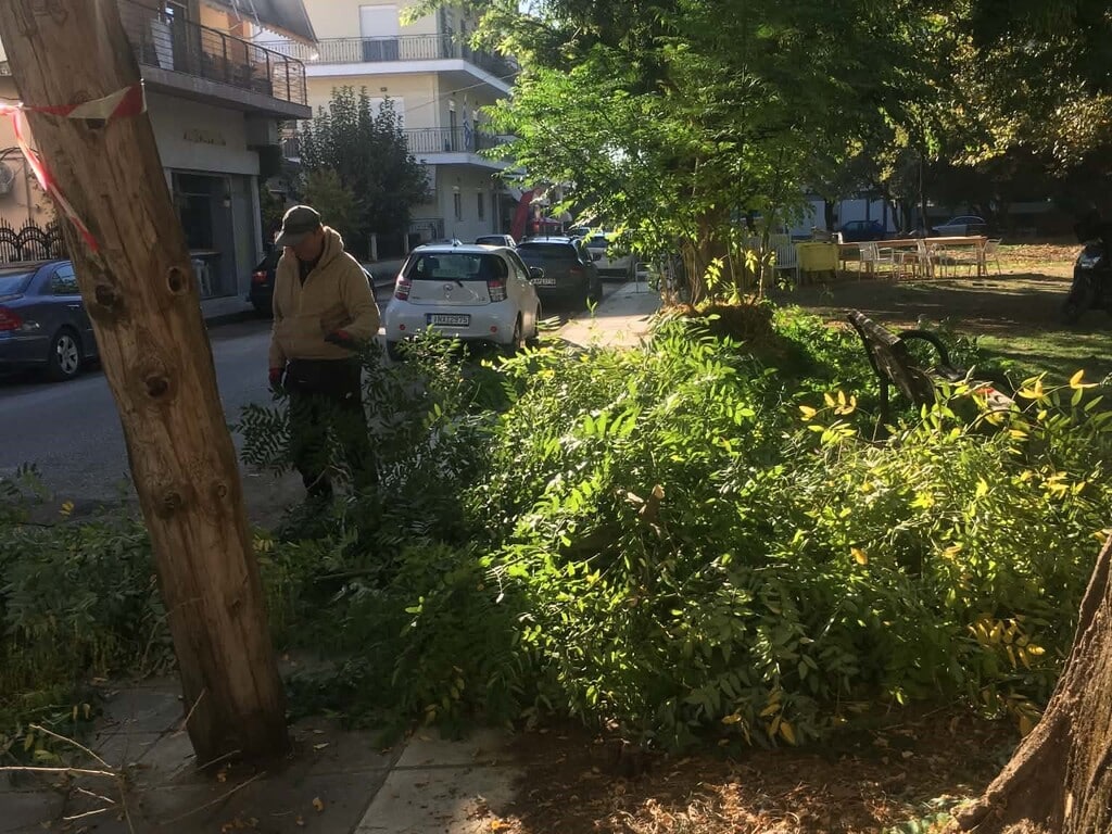 Τρίκαλα: Καθαρισμοί και κλαδεύσεις σε γειτονιές της πόλης