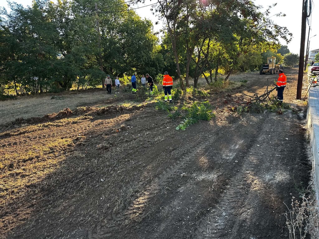 Τρίκαλα: Καθαρισμοί και κλαδεύσεις σε γειτονιές της πόλης