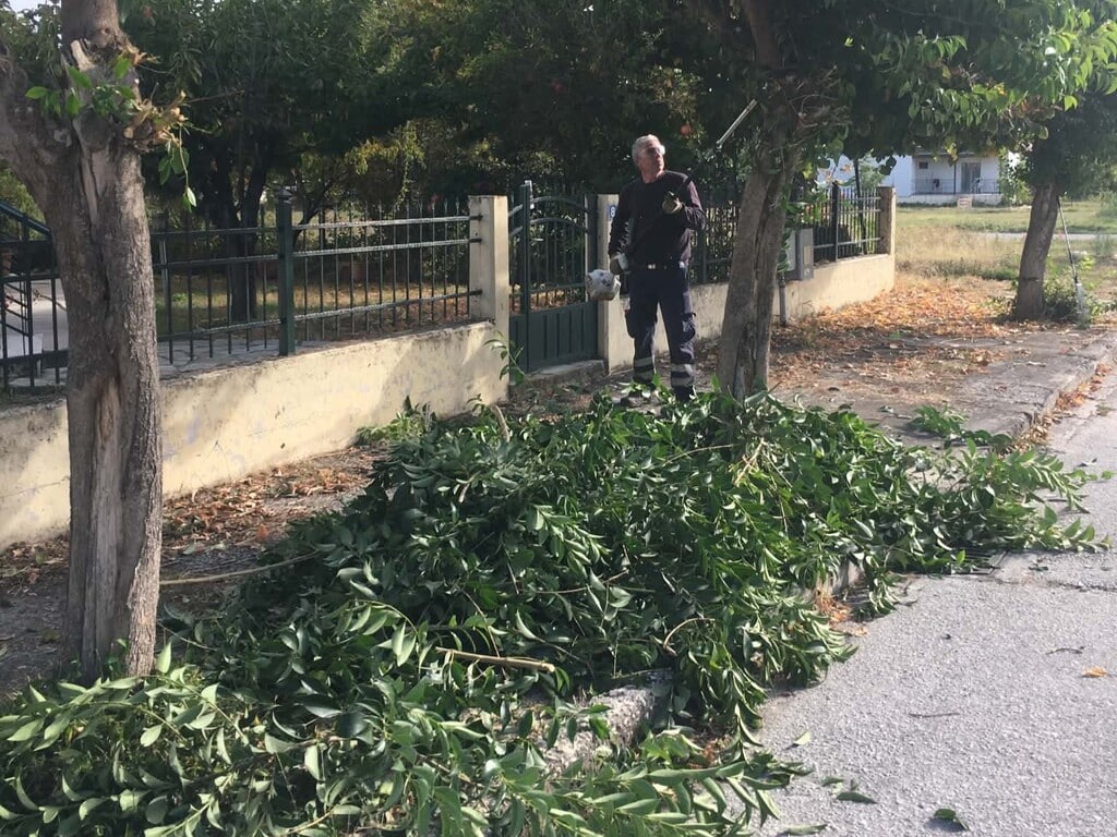 Τρίκαλα: Καθαρισμοί και κλαδεύσεις σε γειτονιές της πόλης