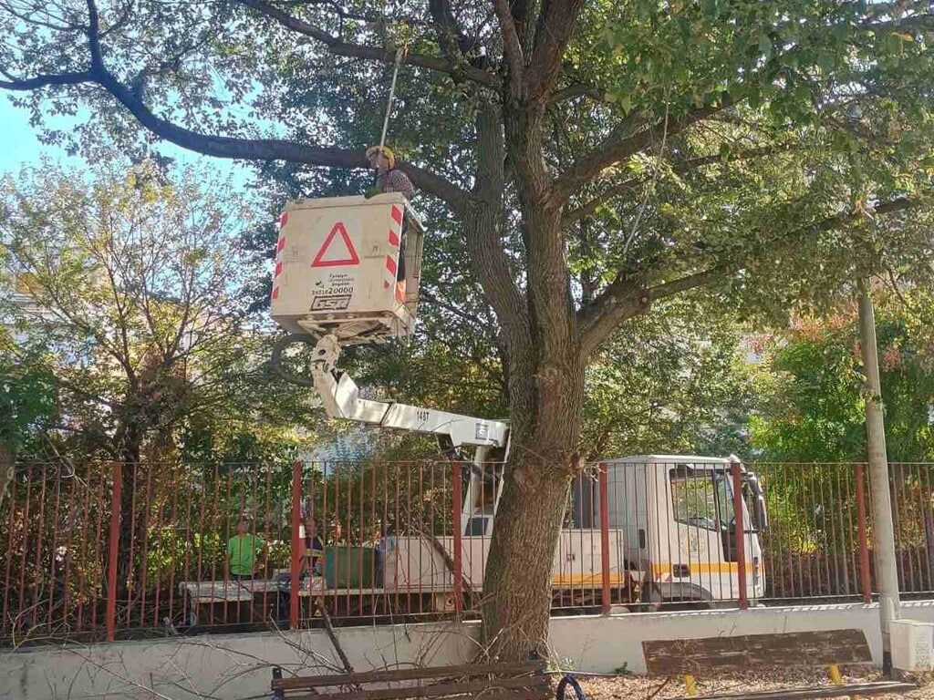 Τρίκαλα: Καθαρισμοί και κλαδεύσεις σε γειτονιές της πόλης